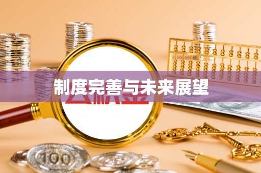 茌平制度完善与未来展望