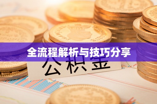茌平全流程解析与技巧分享